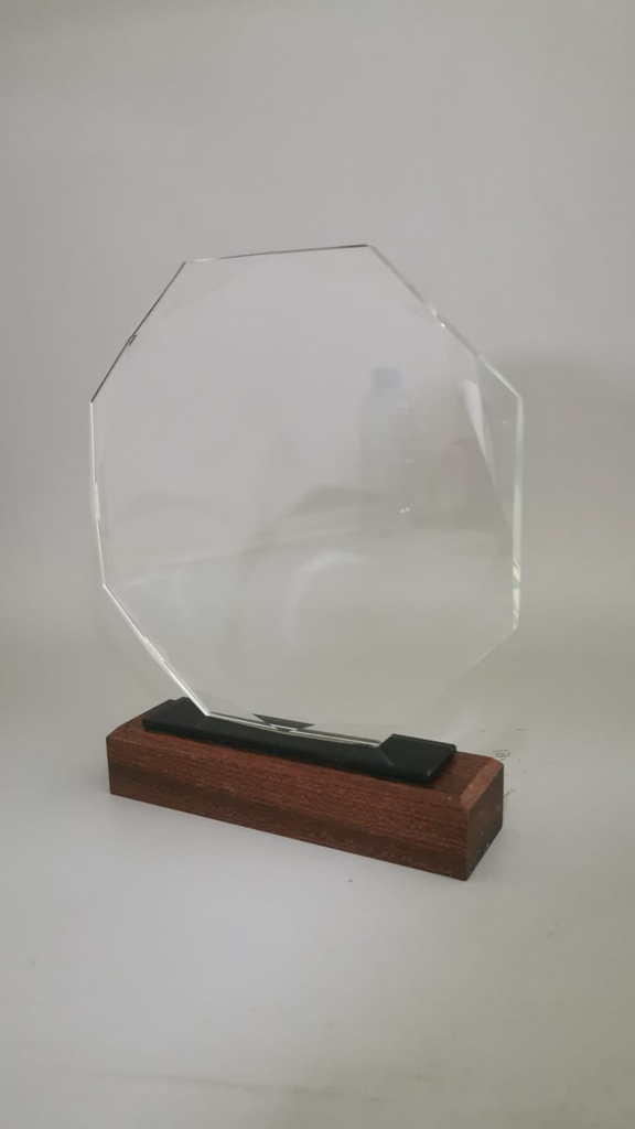 [047] Crystal Trophy with Wooden base 