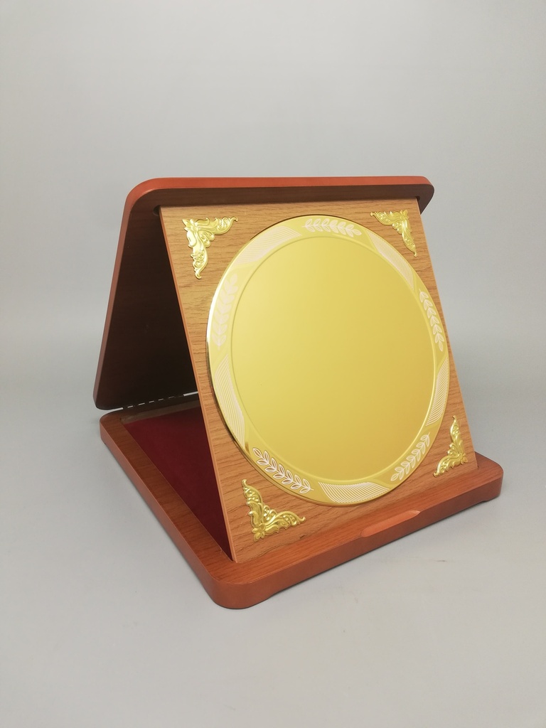 Wooden Trophy with gold frame