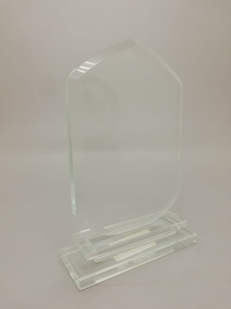Crystal Trophy 