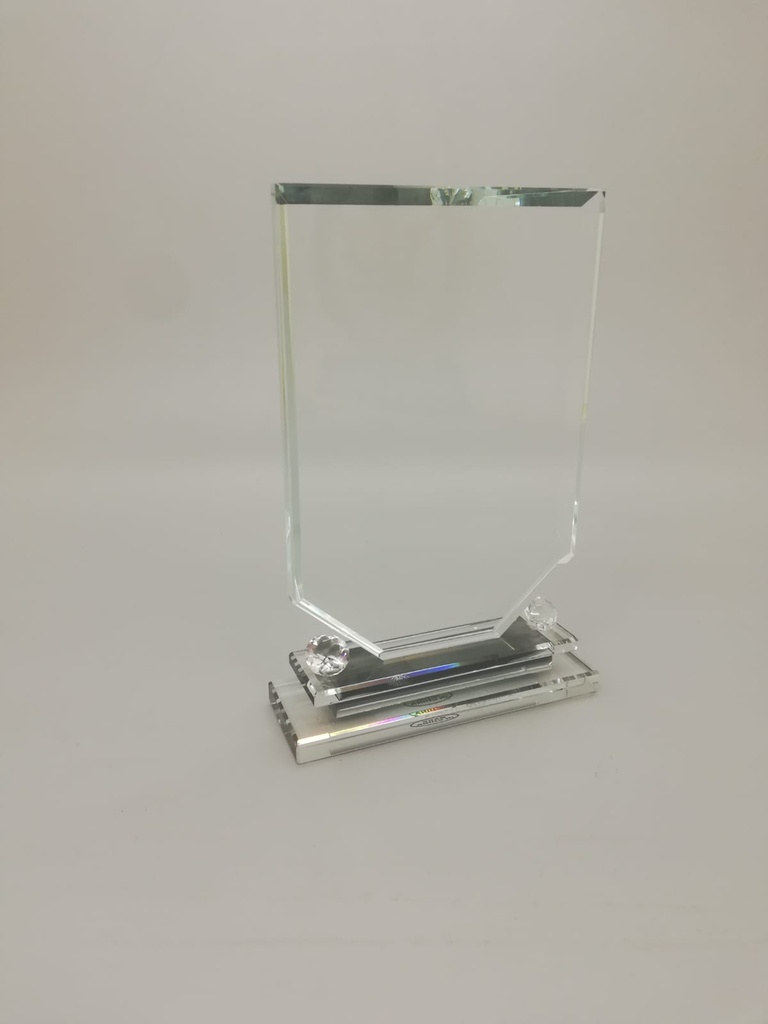 Crystal Trophy 
