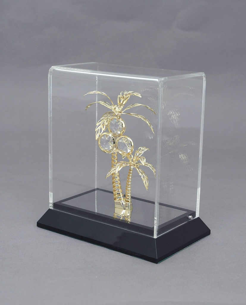 Dates palm with acrylic box