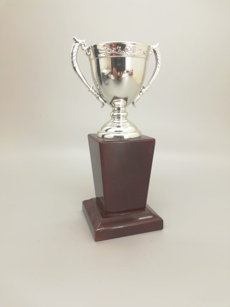 Sport Cup special silver