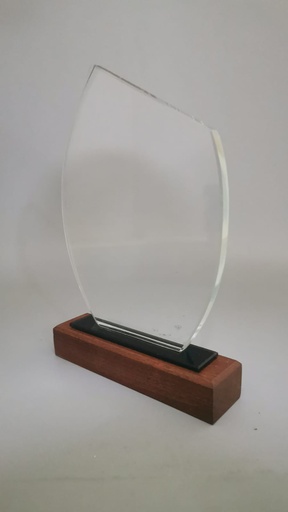 [046] Crystal Trophy with Wooden base