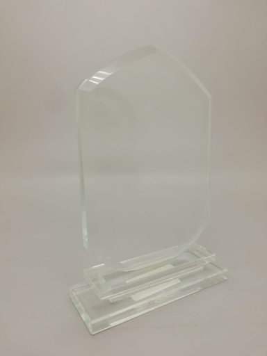 [102] Crystal Trophy 