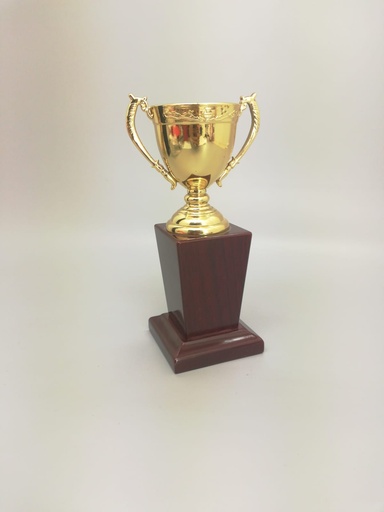 [1025] Sport Cup Special Gold