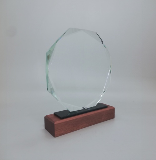 [AB0131] Cristal Trophy Circle Larg
