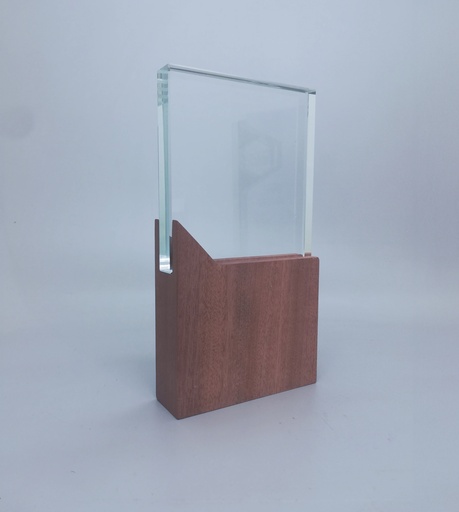 [AB0140] Cristal Trophy Square