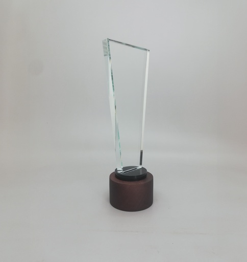 [AB0148] Cristal Trophy Square (copy)